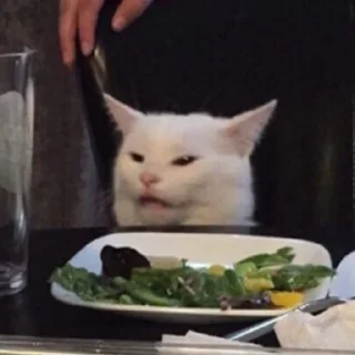 Telegram sticker 😾 MEME MOTIVATED