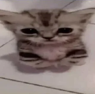 Sticker 🤔 pikris kang pack