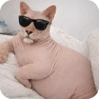 Telegram sticker 🐱 сфинксопард @tonvalo