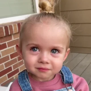 Video sticker 🍁 @ixnxu