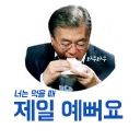 Video sticker 🍴 문재인이 텔레텔레해_by_minkimy