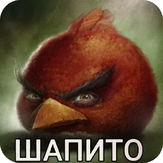 Video sticker 🖼 Секрет мимика @bot_tupoy