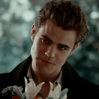 Video sticker 😍 The Vampire Diaries 🖤