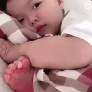 Video sticker 🌟 🌈 Pupuaz :: @fStikBot