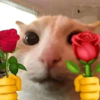 Telegram sticker 🌹 Йоу Ещкере