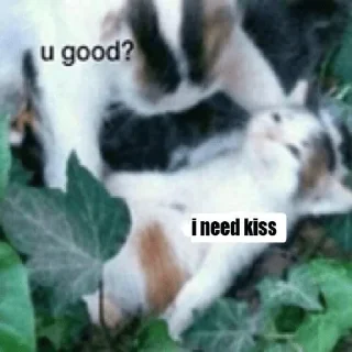 Video sticker 💋 Цмок!Цмок! 2.0