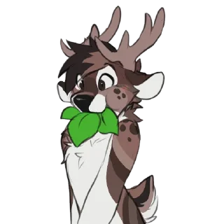 Video sticker 🍃 Maverick