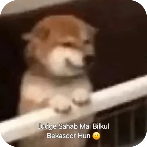 Telegram sticker 🙂 Badmosh owner