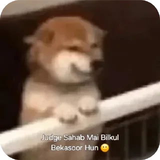 Video sticker 🙂 Badmosh owner
