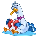 Video sticker 💔 Seagull Sam