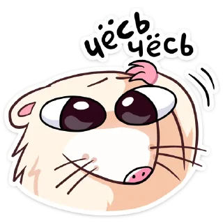 Telegram sticker 🤔 Нутри 2 :: @stickroom