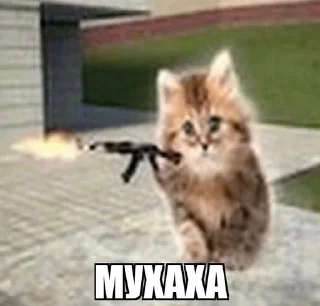 Video sticker 😈 коты мухаха :: @fStikBot