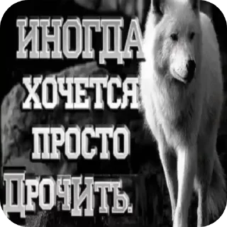 Телеграм стикер 🐶 Блядские гении @Aotagi