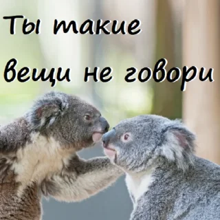 Telegram stiker 🤫 Милый пак (@CTuKOCbl)
