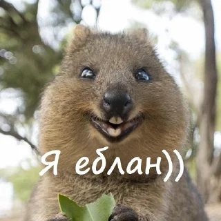 Telegram stiker ☺️ Милый пак (@CTuKOCbl)