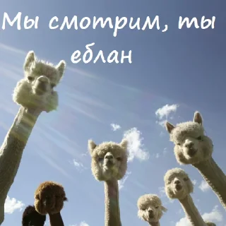 Telegram stiker 😎 Милый пак (@CTuKOCbl)