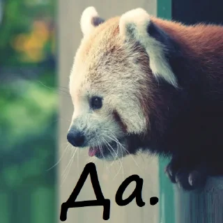 Sticker 👍 Милый пак (@CTuKOCbl)