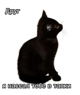 Telegram sticker 😍 Лесник от eveningqq ( дюшес ) ➡️ @Ctikerubot