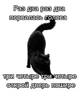 Video sticker 😏 Лесник от eveningqq ( дюшес ) ➡️ @Ctikerubot