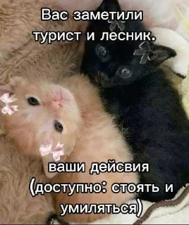 Telegram sticker ❤️ Лесник от eveningqq ( дюшес ) ➡️ @Ctikerubot
