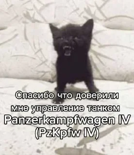 Video sticker 😏 Лесник от eveningqq ( дюшес ) ➡️ @Ctikerubot