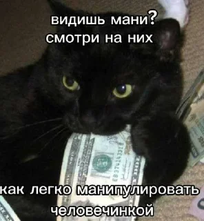 Telegram sticker 😎 Лесник от eveningqq ( дюшес ) ➡️ @Ctikerubot