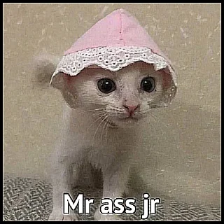Telegram sticker 🐱 Верс мистера пениса @shitpostlmaoxd