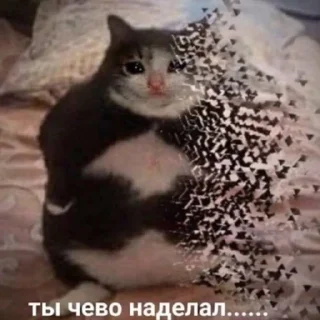 Telegram stiker 😭 @StBlyadNews Стикеры блядь 2