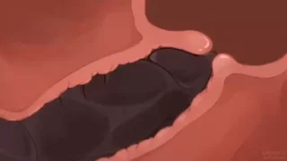 Video sticker 🌟 FurrysHot 🔥🦊