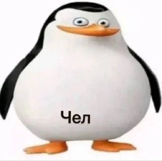 Video sticker 😁 Больше стиков тут: @stikery4