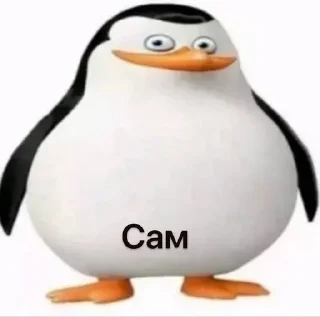 Video sticker 😟 Больше стиков тут: @stikery4