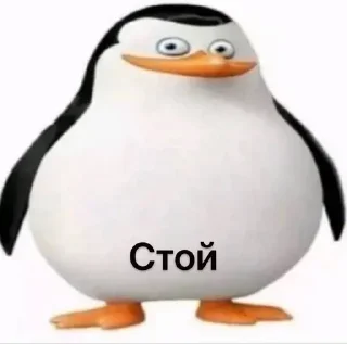 Telegram sticker 💯 Больше стиков тут: @stikery4