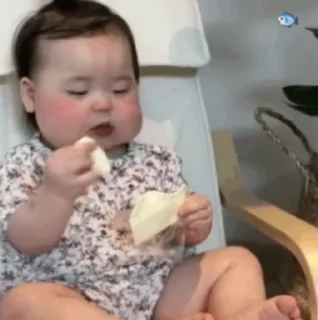 Video sticker 🌟 🐋 Civic Whale :: @fStikBot