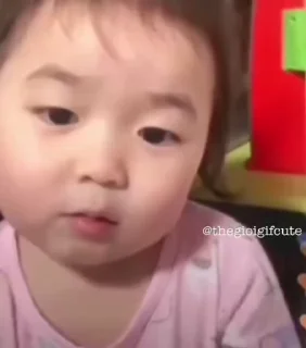 Video sticker 🌟 🐋 Civic Whale :: @fStikBot