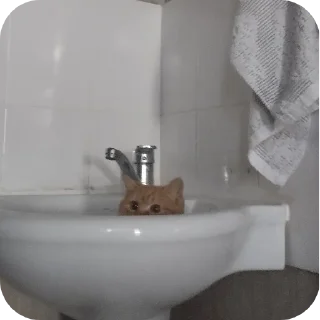 Telegram sticker 🛋 @TgEmodziBot Зиданчик сотка Вирзи красоткаа