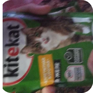 Telegram sticker 🐱 @TgEmodziBot Зиданчик сотка Вирзи красоткаа