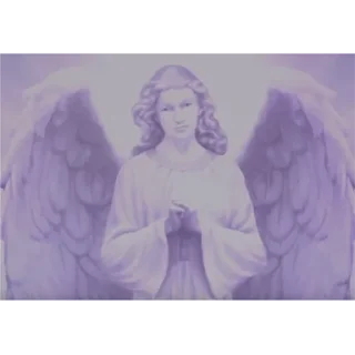 Video sticker 😊 the mandela catalogue