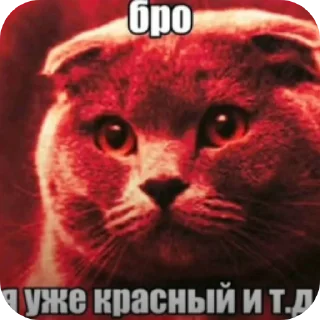 Video sticker 👍 Бро ну ты типа эм и т.д. :