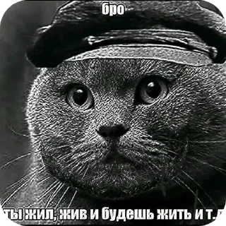 Telegram sticker 🖼 Бро ну ты типа эм и т.д. :