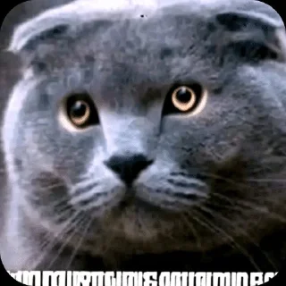 Sticker 🌟 Бро ну ты типа эм и т.д. :