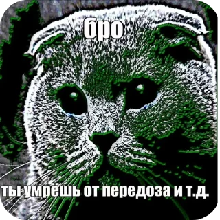 Telegram sticker 🖼 Бро ну ты типа эм и т.д. :