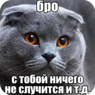 Video sticker 👍 Бро ну ты типа эм и т.д. :