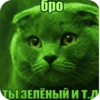 Telegram sticker 🖼 Бро ну ты типа эм и т.д. :