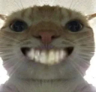 Video sticker 💫 Mermet goreng