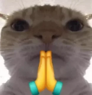 Video sticker 💫 Mermet goreng