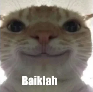 Video sticker 💫 Mermet goreng