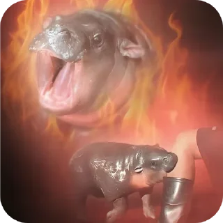 Telegram sticker 😡 RAIRUKKU LOBOTOMY | @rairukku