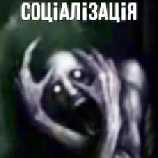 Video sticker 😳 Больше стиков тут: @stikery4