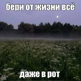 Video sticker 😱 Больше стиков тут: @stikery4