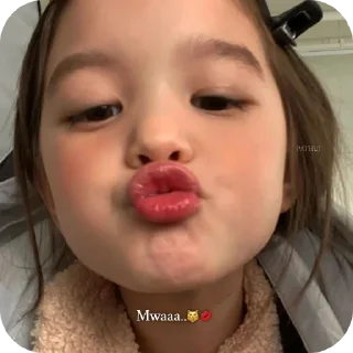 Video sticker 🤲 Kishu